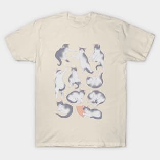 otis T-Shirt